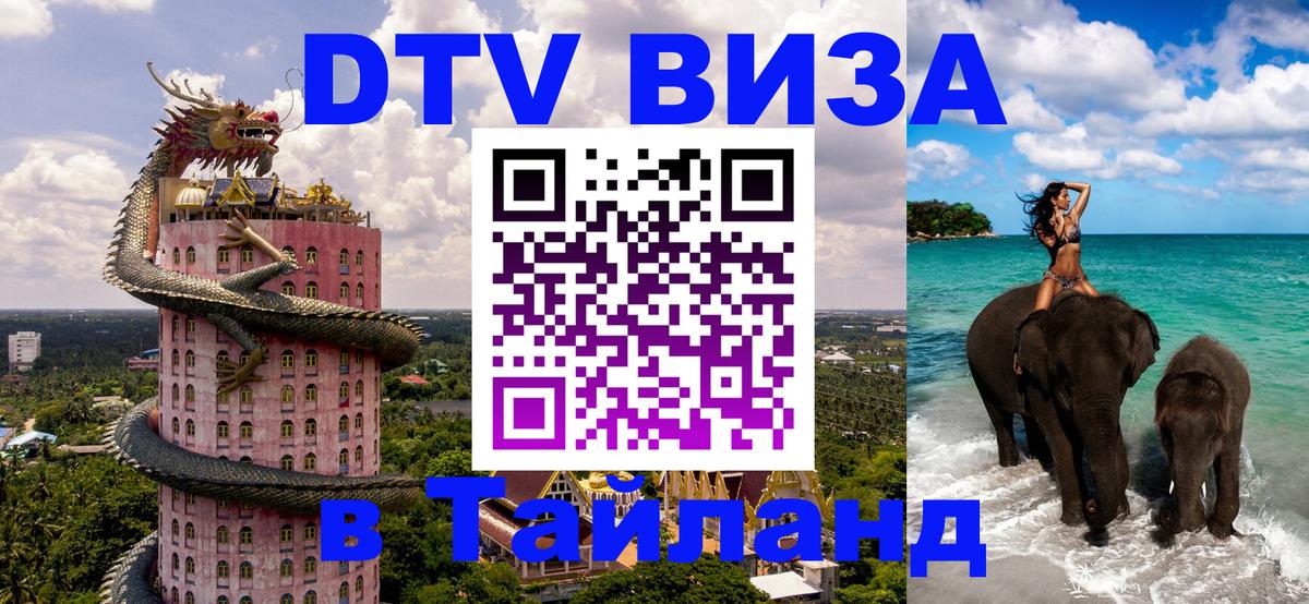 Сколько стоит DTV виза — актуальные цены, оформление даже без документов - 08.01.2026 